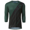 Color: Evergreen Stripe