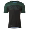 Color: Evergreen Stripe