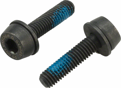 Campagnolo Campagnolo H11 Disc Caliper Mounting Screws, 2x19mm, for 10-14mm Rear Mount Thickness