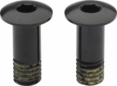 Campagnolo Campagnolo Rear Derailleur Pulley Bolt Set for SR EPS/80th/SR/RE/AT