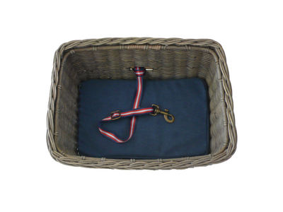 Linus Basket Pet Tether With Cushion